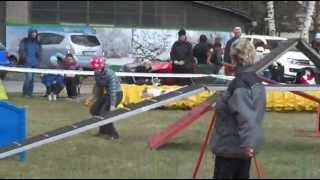 Agility jack russell terrier - Babsi 04/2012