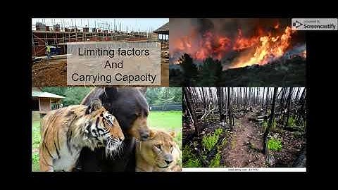 Ecosystems Vocabulary - Google Slides