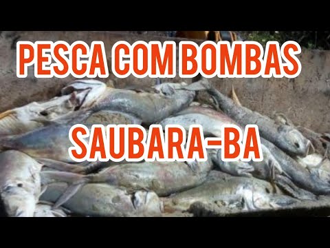 Pesca com bombas em Saubara-BA causa morte de peixes
