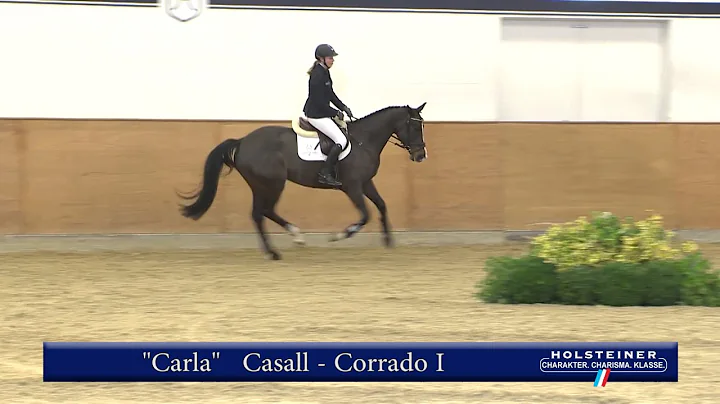 106. Carla v. Casall - Corrado I