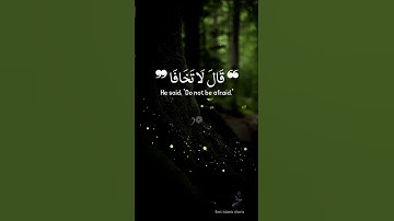 تلاوة خاشعة | قَالَ لَا تَخَافَا..| تلاوة مؤثرة تهز القلوب 💖 #قرآن #تلاوة #القرآن_الكريم