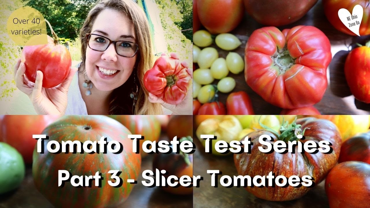 Tomato Taste Test Series (Over 40 varieties!)