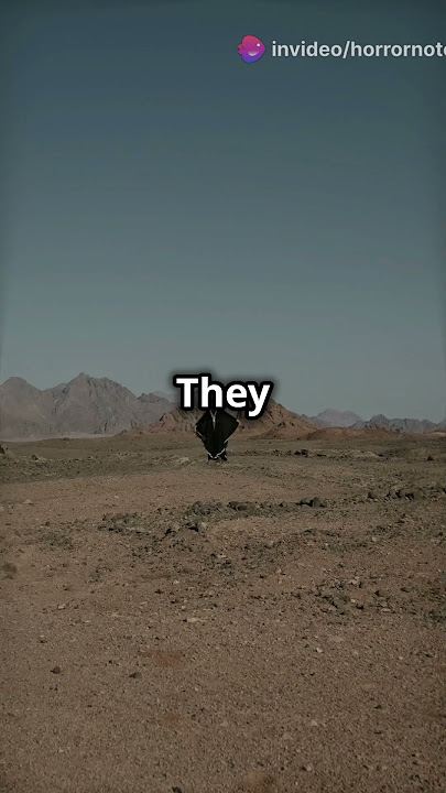 Unveiling the Secrets of Area 41 !!!  #youtubeshorts #ghost #horrorstories #scarystories #area41