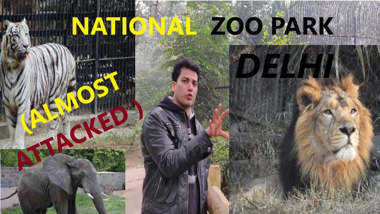 Delhi Zoo | Delhi Zoological Park |National Zoo , Delhi | vlog #4