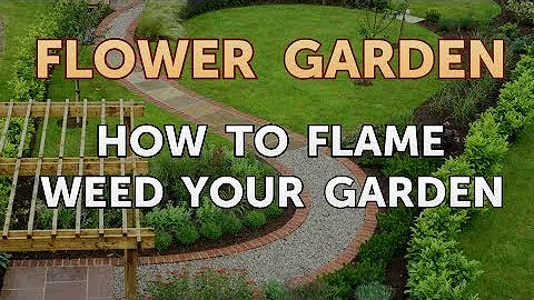 How to Flame Weed Your Garden