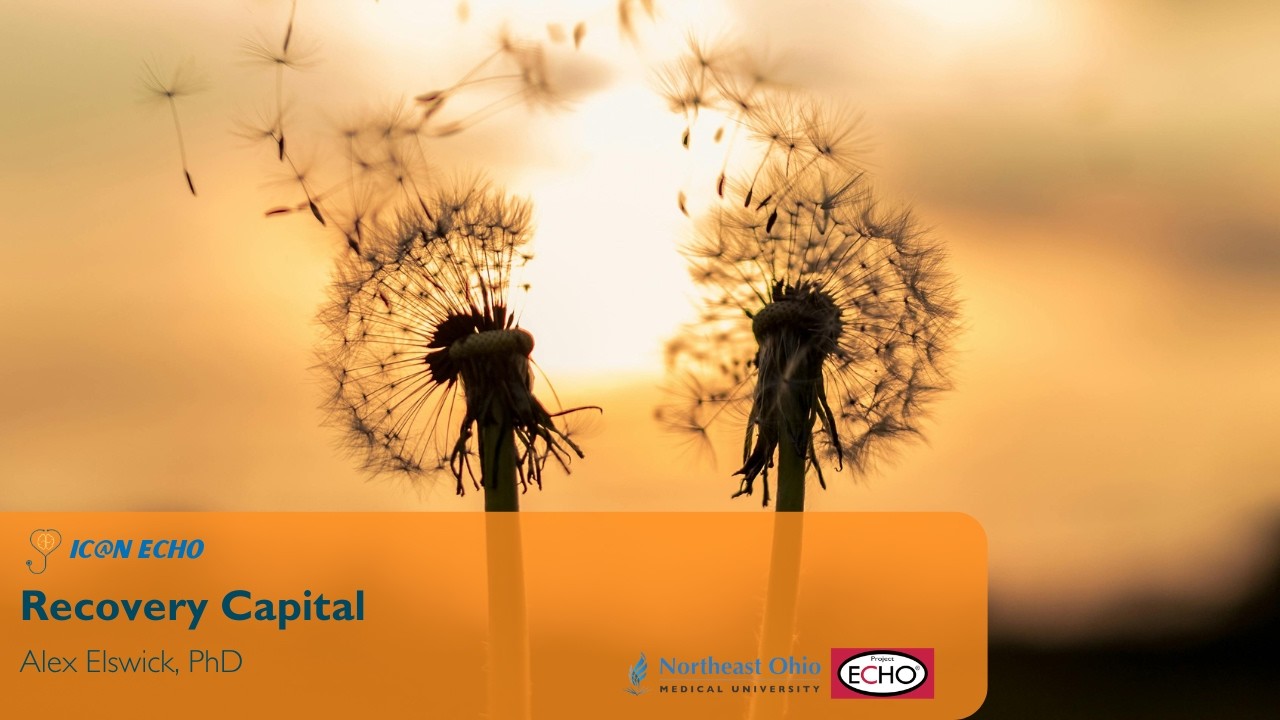 Recovery Capital - IC@N ECHO