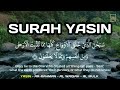 Wake Up to Quran | Al-Waqiah, Al-Mulk, Ar-Rahman &amp; Yasin Recitation