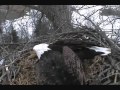 DECORAH EAGLES  FEB. 7, 2012    11:45 AM  CST  MOM DOING HER DANCE AGAIN