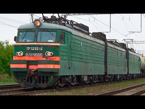 'Зелёный Ярославский Выльник!'