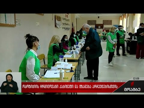 ოპოზიციის ჩრდილოვანი კაბინეტი და მზადება არჩევნებისთვის