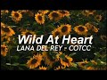 Lana Del Rey - Wild At Heart ( Tradução/Legendado )