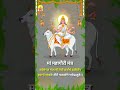 🌸 Maa Mahagauri Mantra | Navratri Day 8 Special | Powerful Durga Bhakti Shorts 🚩 #bhaktishorts