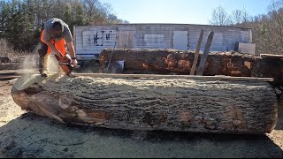 Sawing Monster 40” Poplar by Andruw's Lumber  5,025 views 2 months ago 45 minutes