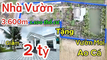 Bán nhà sân vườn 3.600m², mặt tiền 1.100m đường nhựa xe tải, vườn cây ao cá, tặng vườn mai vàng