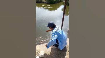 ĐỘC ĐÁO CÂU CÁ BẰNG CHAI NHỰA, KIẾM 2 - 3KG CÁ ĐỐI MỖI NGÀY. CUỘC SỐNG VUI VẺ Ở BIỂN VŨNG TÀU.