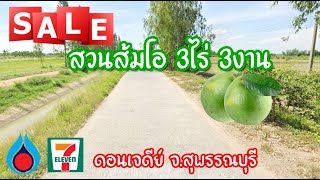 ✅️ วางเงินมัดจำแล้วครับ ✅️สวนส้มโอขนาด 3ไร่3งาน น้ำสมบูรณ์ตลอดปี อ.ดอนเจดีย์ สุพรรณราคา 350,000/ไร่