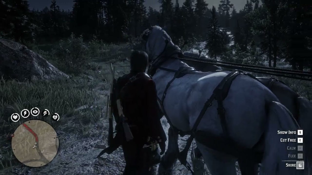 5 Things I Learned Buying a Wild West Horse Chariot