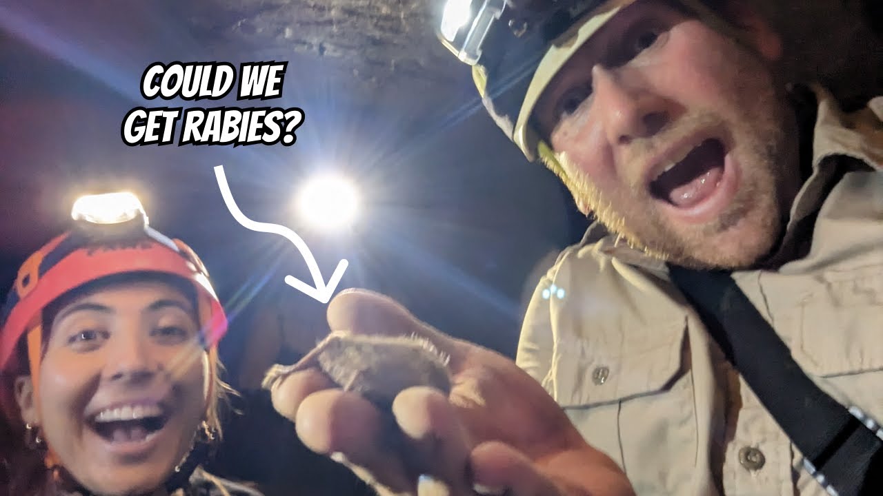 Cave Herping with Bats and Salamanders at the Sims Cave Park | Field Herping Birmingham Alabama