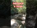 Забрался в глушь. Дикий лес Сочи.