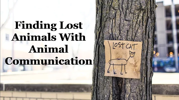 Finding Lost Animals With Animal Communication, Va...