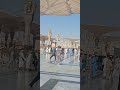 masjid e nabvi#vustudents #shorts