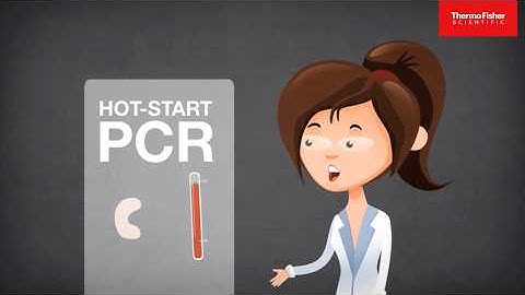 PCR Reaction Types Explained: Cloning, Colony PCR & More