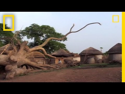 Video: Falling From The Sky In Ghana Witches - Alternative View