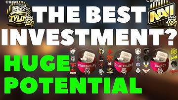 The BEST CSGO INVESTMENT OF 2021? | CSGO 2020 RMR CAPSULE INVESTING!