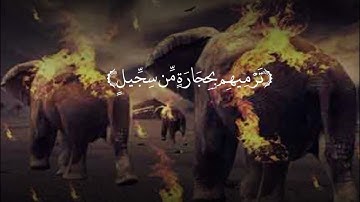 سورة الفيل(أحمد العجمي) أرح سمعك وقلبك 😌🎧