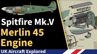 Spitfire Mk V - Merlin 45 Engine