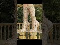 Beautiful Sendal New Design Fashion Lovely 2025 Viralvideo рџ Ўрџ Ўрџ Ўрџ Ўрџ Ўвќ пёЏвќ пёЏвќ пёЏвќ пёЏрџ Ќрџ Ќрџ Ќрџ Ќрџ Ќрџ Ќрџ Ќвќ пёЏвќ пёЏвќ пёЏвќ пёЏвќ пёЏвќ пёЏвќ пёЏ Beautiful Sendal New Design Fashion Lovely 2025 Viralvideo рџ Ўрџ Ўрџ Ўрџ Ўрџ Ўвќ пёЏвќ пёЏвќ пёЏвќ пёЏрџ Ќрџ Ќрџ Ќрџ Ќрџ Ќрџ Ќрџ Ќвќ пёЏвќ пёЏвќ пёЏвќ пёЏвќ пёЏвќ пёЏвќ пёЏ