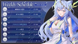 💎Weekly Schedule＆Free Chat💎