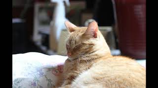 Famous Chapter 4 5th edition python Net Worth