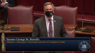 Senator Borrello's Senate Floor Remarks on Kendra's Law