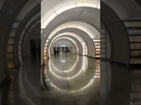 Βίντεο: Σταθμός μετρό Fonvizinskaya: χαρακτηριστικά, αρχιτεκτονικά χαρακτηριστικά, ιστορία