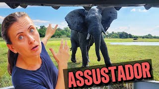 FOMOS ATACADOS POR UM ELEFANTE NA ÁFRICA! T11.ep26