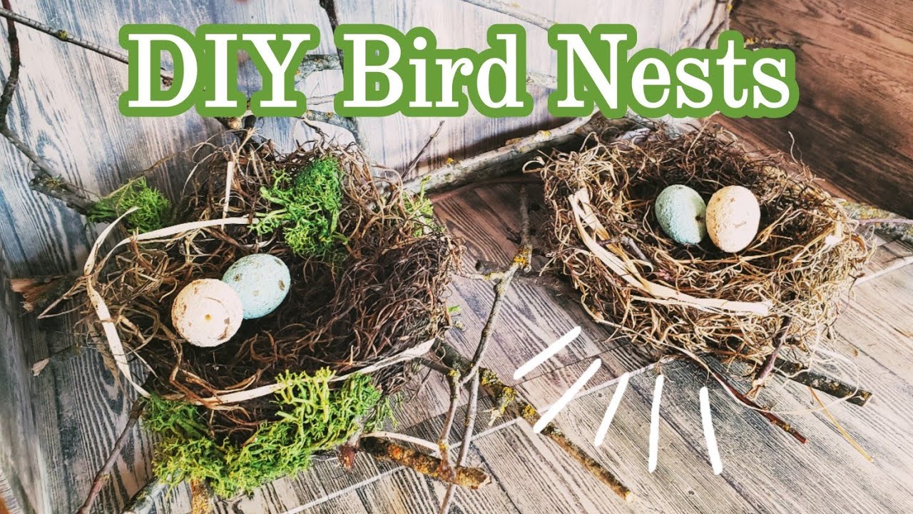 🐦DIY birds nests tutorial || DIY Spring Decor - YouTube