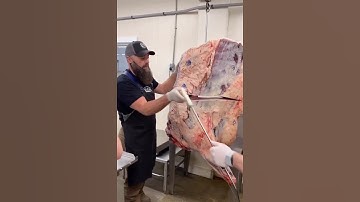 Breaking Down a Beef Forequarter by Hand! #shorts