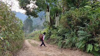 VIDEO FULL : 20 days of being kicked out of the house by your stepmother | Orphan Thủy An