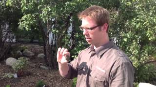 How To Use Coghlan's Signal Mirrors