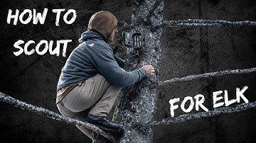 ELKSHAPE Podcast - How to Scout for Elk