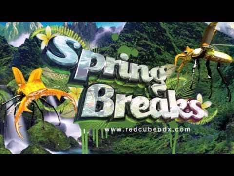 Spring Breaks 2011 w/ Sound of ILL TOUR & Trillbass