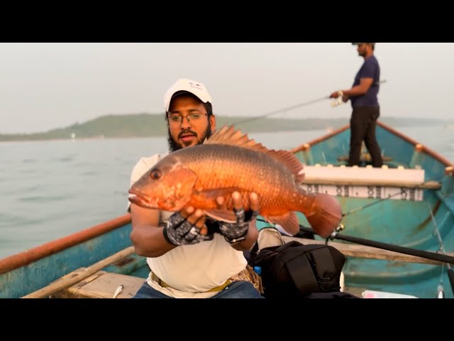 best fishing lure for snapper grouper barramundi, Fishing video, हा lure  फुल धमाका करणार