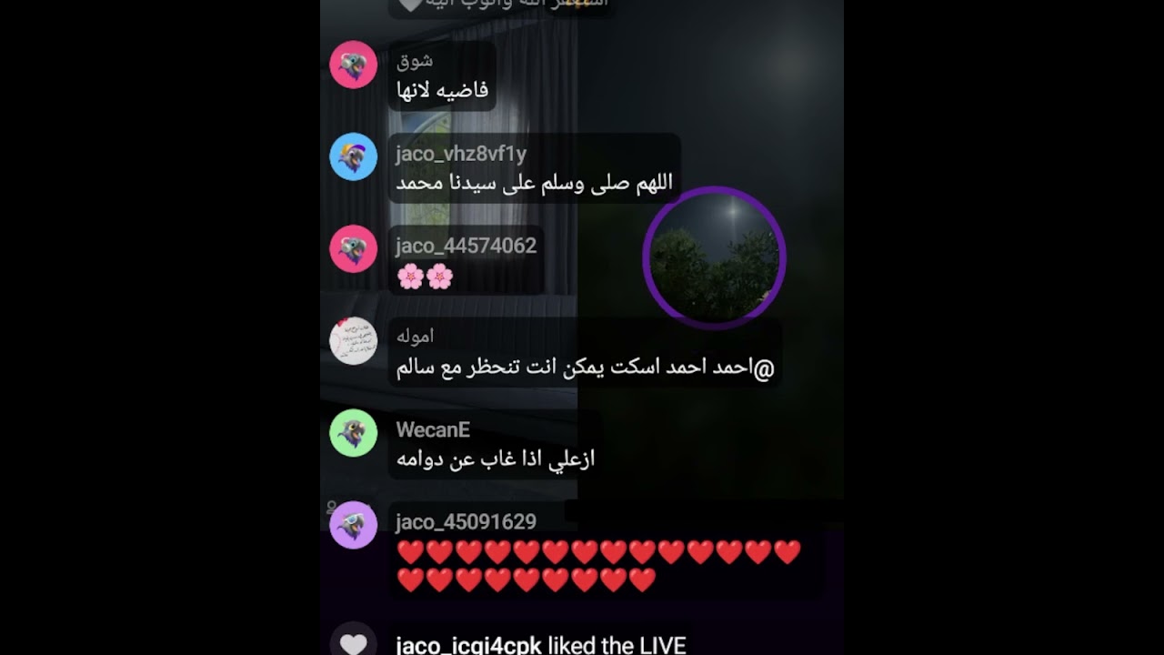 بث أم اليسر حصه صالح المحيميد🤍 الاحد الظهر 2ديسمبر2024