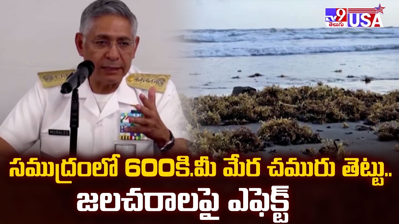 Massive Oil Spill in Mexico Water : సముద్రంలో 600కి.మీ మేర చమురు తెట్టు.. జలచరాలపై ఎఫెక్ట్ - TV9