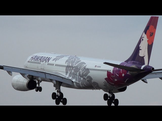 Hawaiian Airlines Airbus A330-200 N389HA Landing at NRT 34L