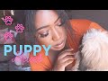 Puppy Blues I DONT WANT MY PUPPY | Amazingly Ava