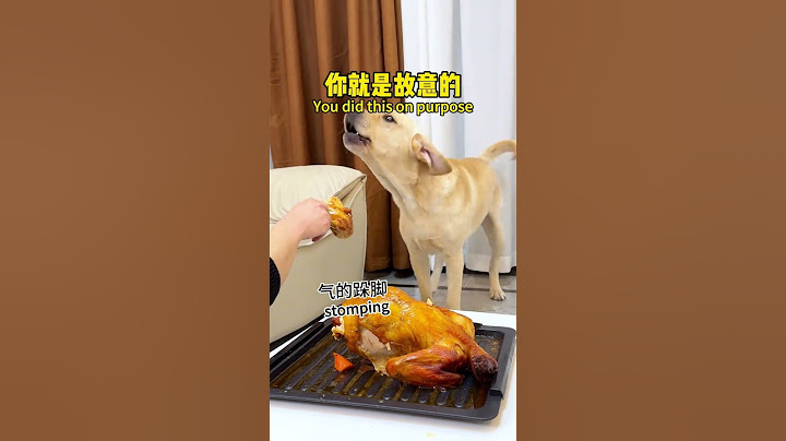 【旺仔很忙🐶Wangzai is busy】狗：不想给我就明说，何必拐弯抹角If you don't want to give it to me, just say it directly.