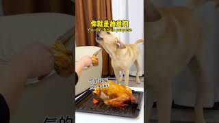 【旺仔很忙🐶Wangzai is busy】狗：不想给我就明说，何必拐弯抹角If you don't want to give it to me, just say it directly. image