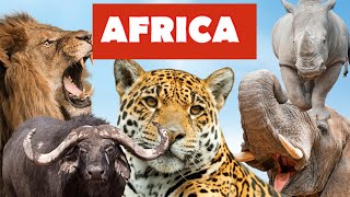 4K Safari Africano | Música de Piano Relajante | Naturaleza Escénica